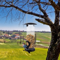 Hranitor pentru pasari, 22 x 6.5 cm, transparent/negru, My Garden 1265